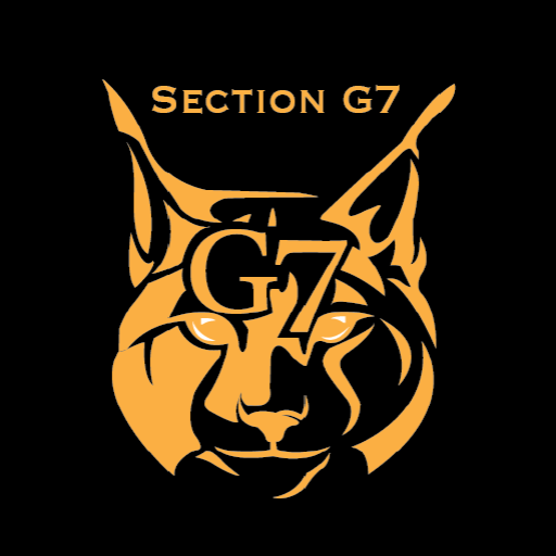 Section Chief